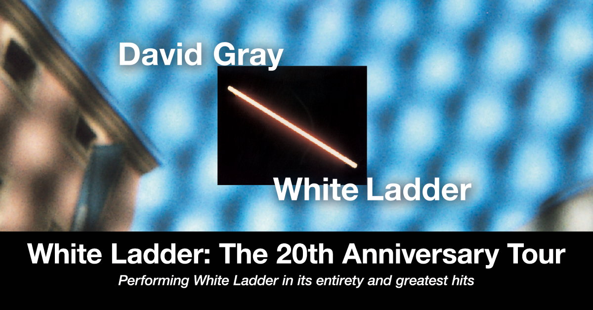 david grey white ladder tour