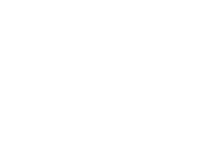 austin